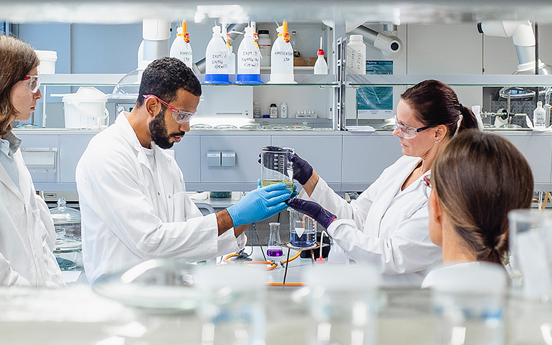 Cosmetic formula development